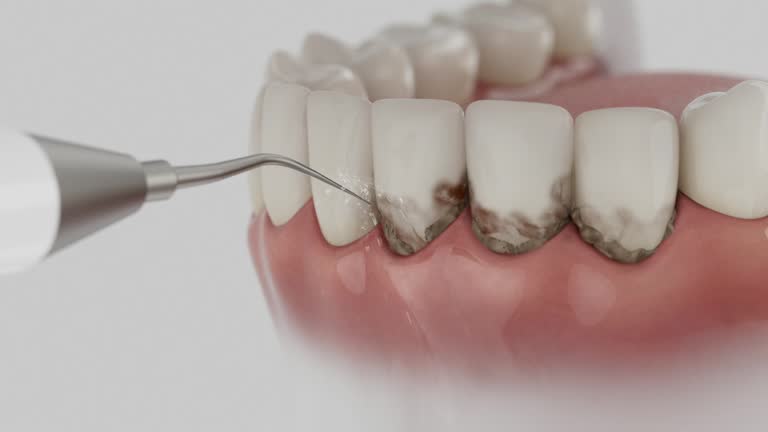 Reliable Dental contractor in Westwood, CA by Dentist Open Now